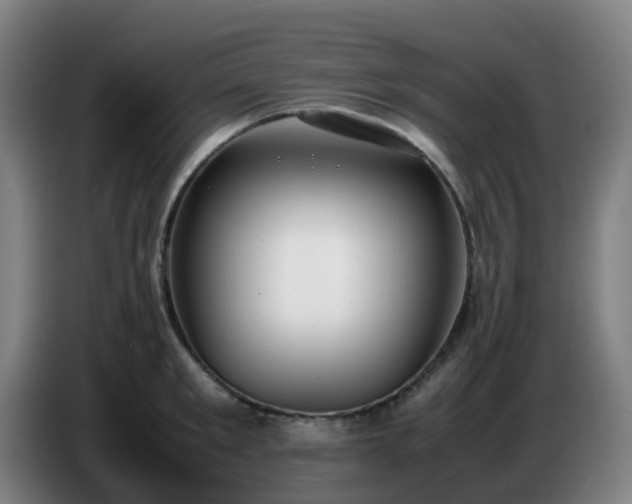 X0000086720901200704201624
