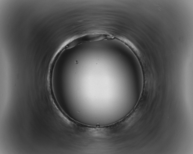 X0000086720902200704201624