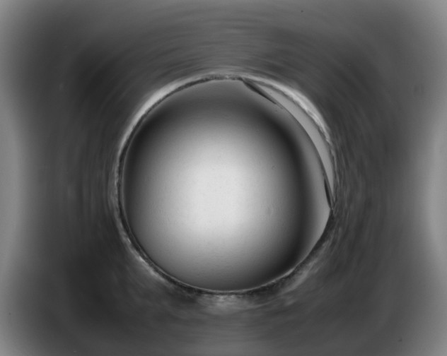 X0000086720903200704201624