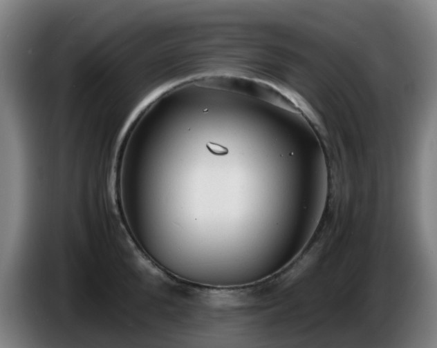 X0000086720904200704201624