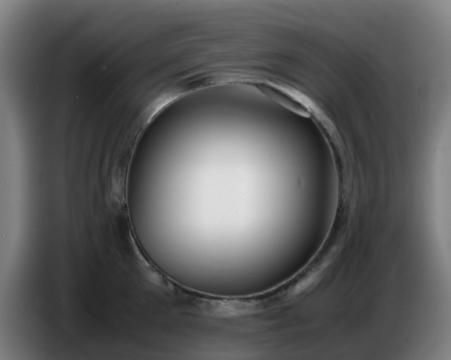 X0000086720905200704201624