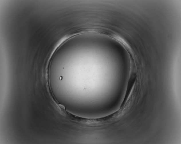 X0000086720907200704201624