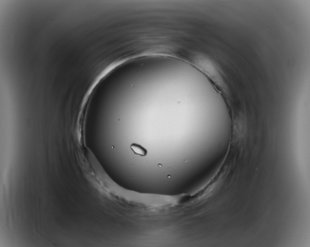 X0000086720908200704201624