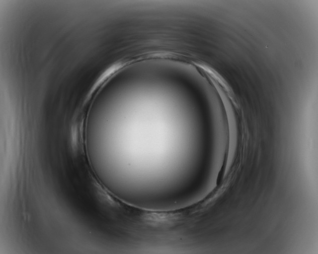 X0000086720910200704201624