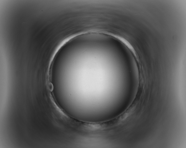 X0000086720911200704201624