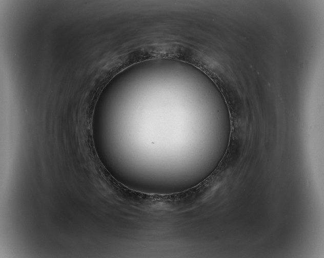 X0000086720913200704201623