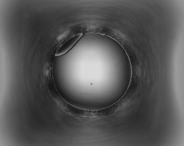 X0000086720914200704201623