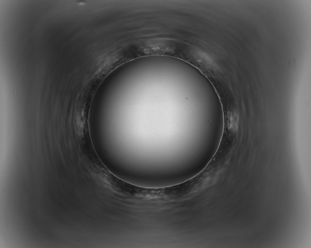 X0000086720915200704201623