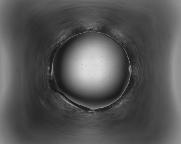 X0000086720916200704201623
