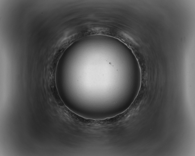 X0000086720917200704201623