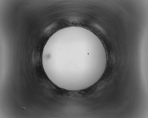 X0000086720918200704201623