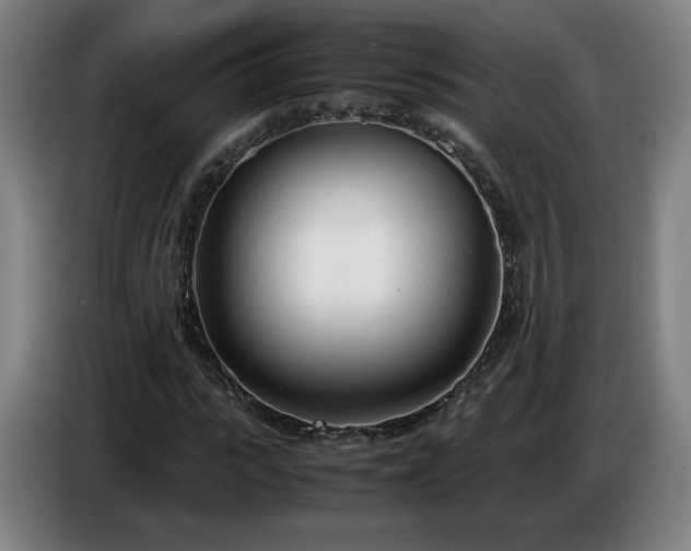 X0000086720919200704201623