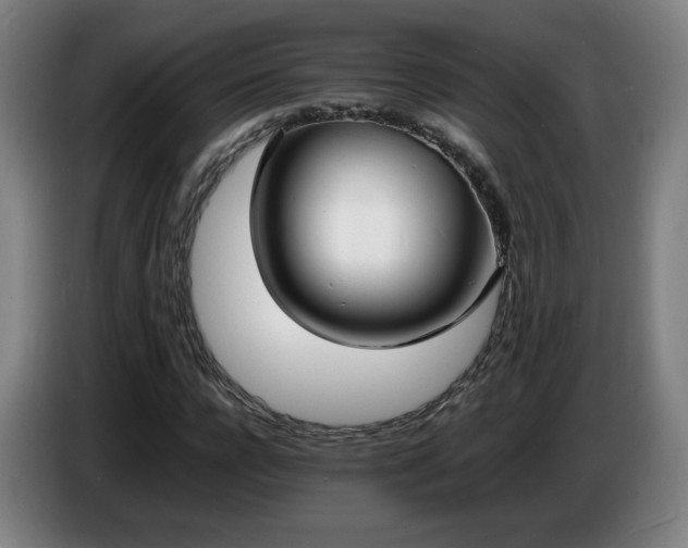 X0000086720920200704201623