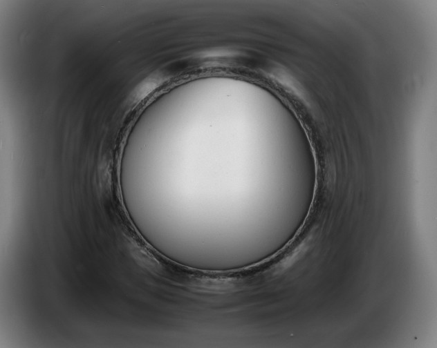 X0000086720921200704201623