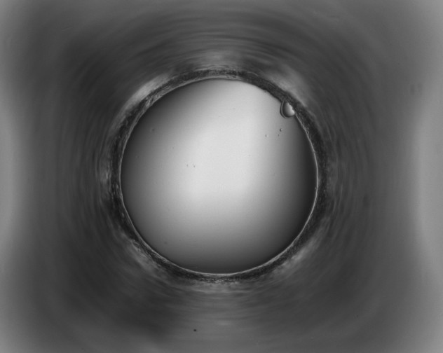 X0000086720922200704201623