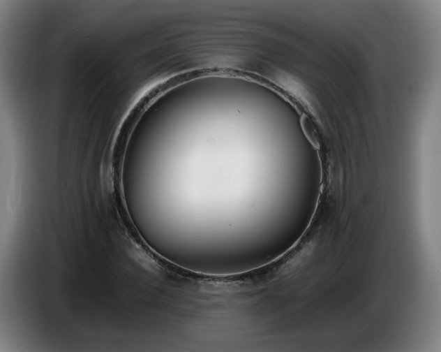 X0000086720924200704201623