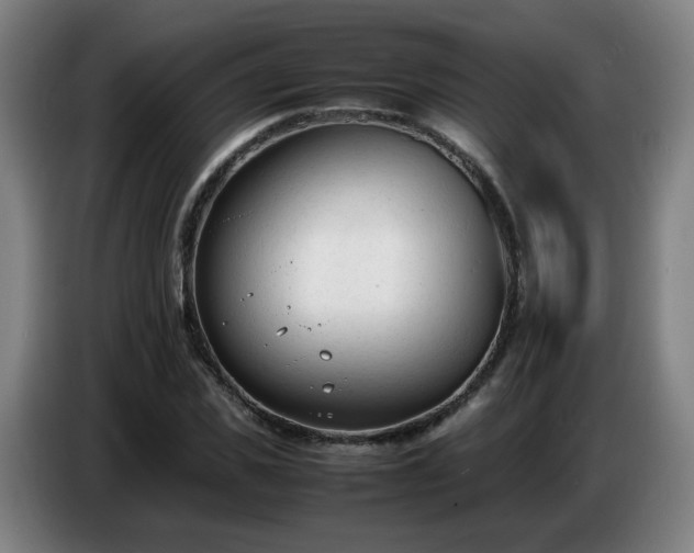 X0000086720925200704201623