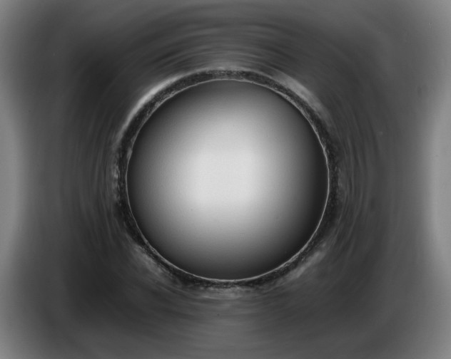 X0000086720926200704201623