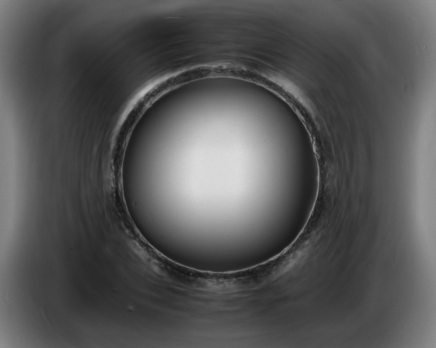 X0000086720927200704201623