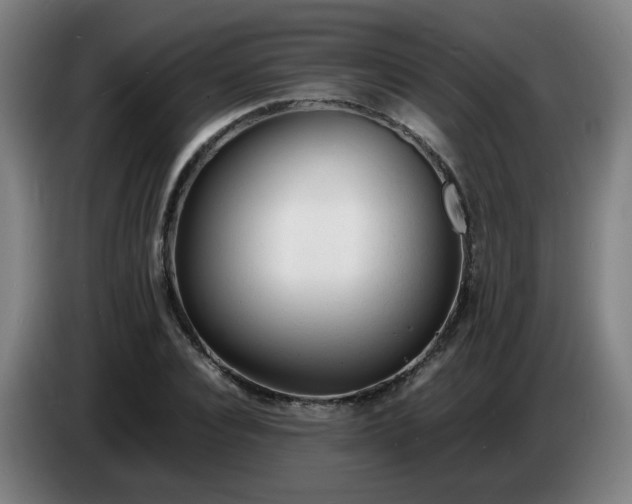 X0000086720928200704201623