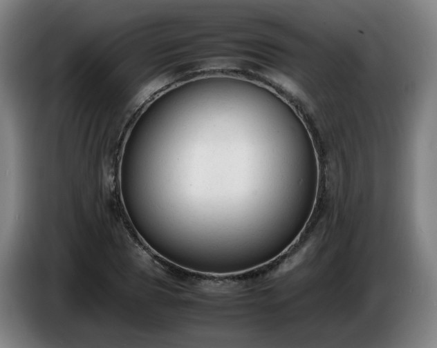 X0000086720929200704201623