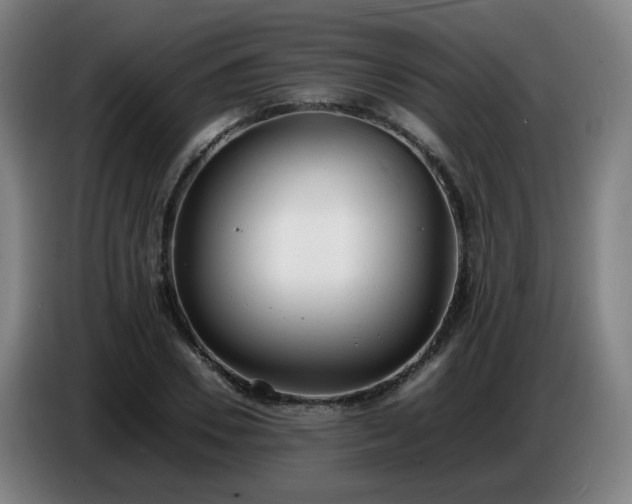 X0000086720930200704201623
