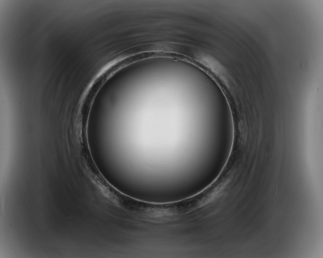 X0000086720931200704201624
