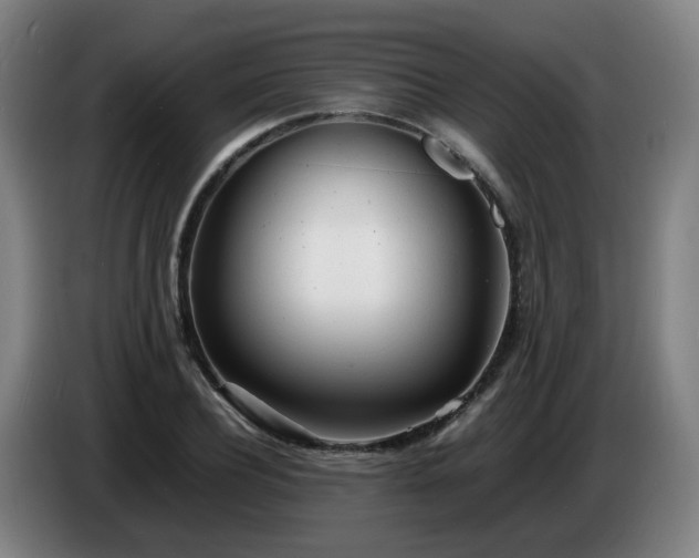 X0000086720932200704201624