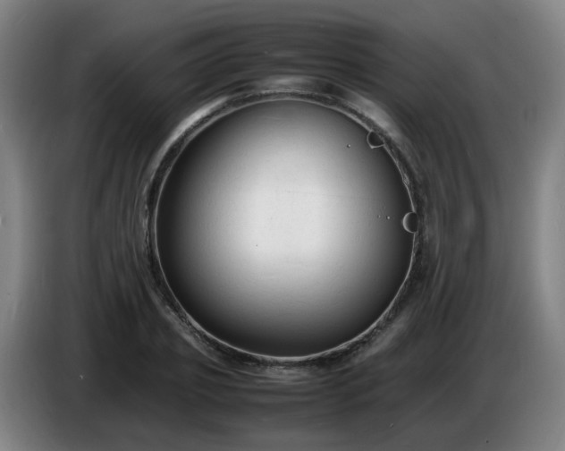 X0000086720933200704201624