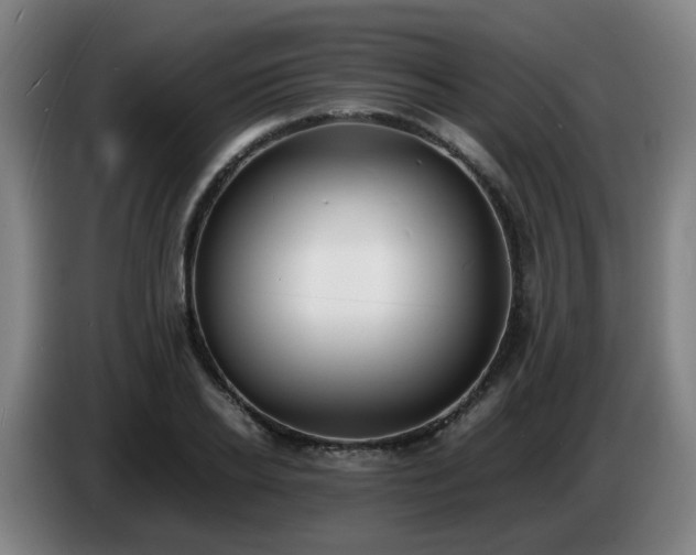 X0000086720934200704201624