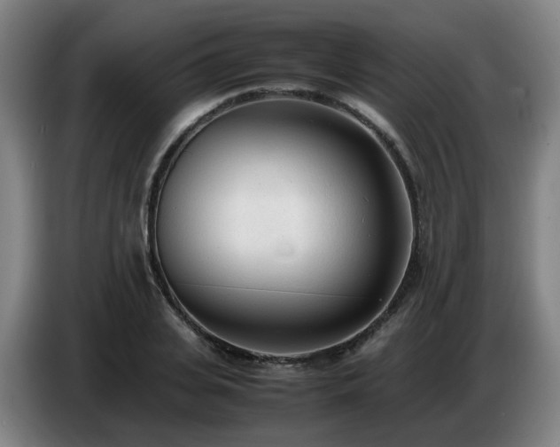 X0000086720935200704201624