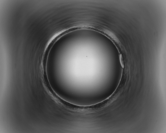 X0000086720936200704201624