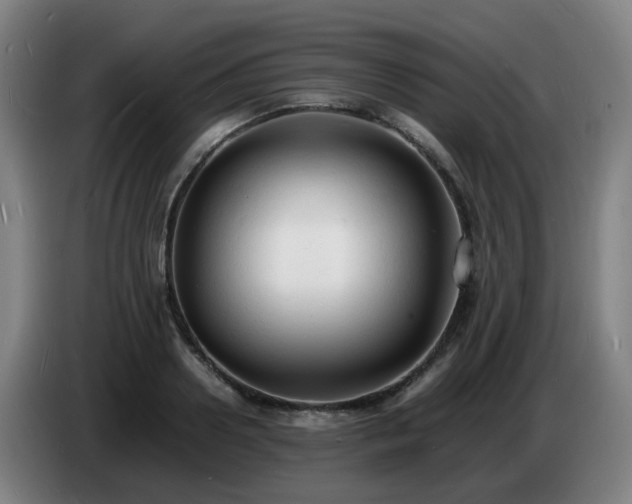 X0000086720938200704201624