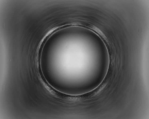 X0000086720939200704201624
