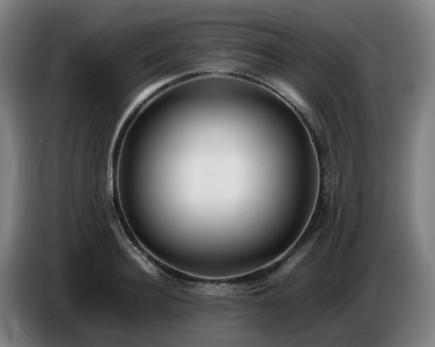 X0000086720940200704201624