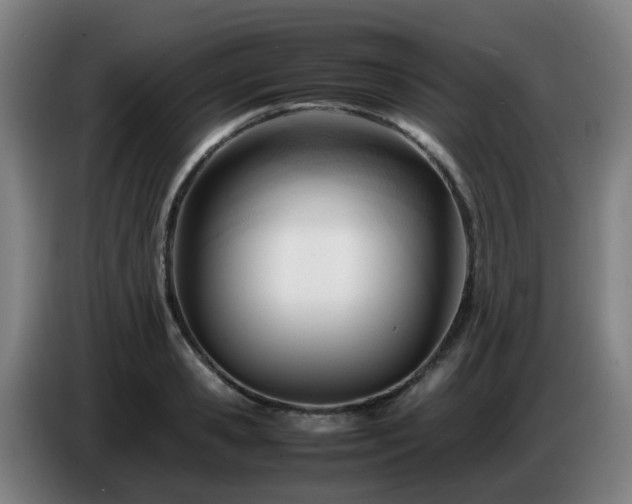 X0000086720941200704201624