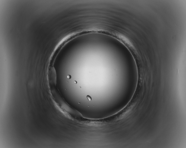 X0000086720942200704201624