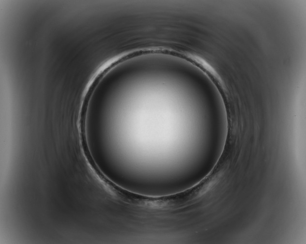 X0000086720943200704201624