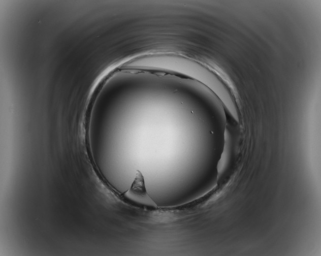 X0000086720944200704201624