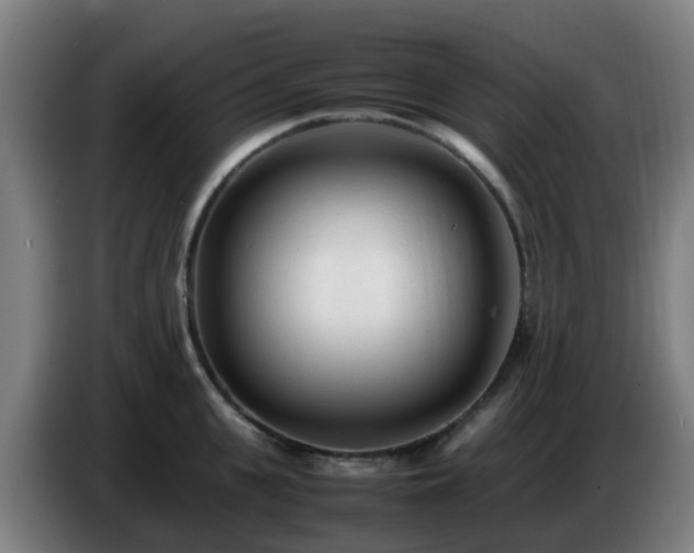 X0000086720951200704201624
