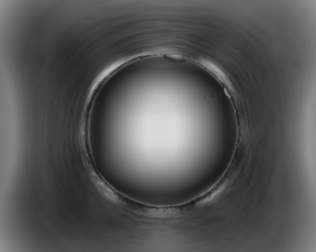 X0000086720952200704201624