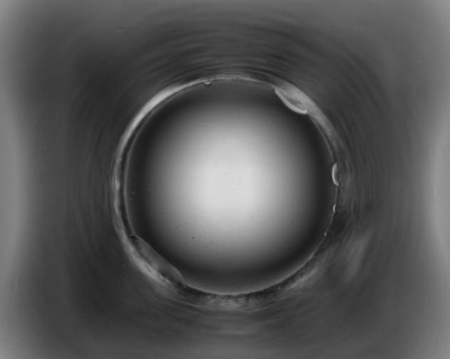 X0000086720955200704201624