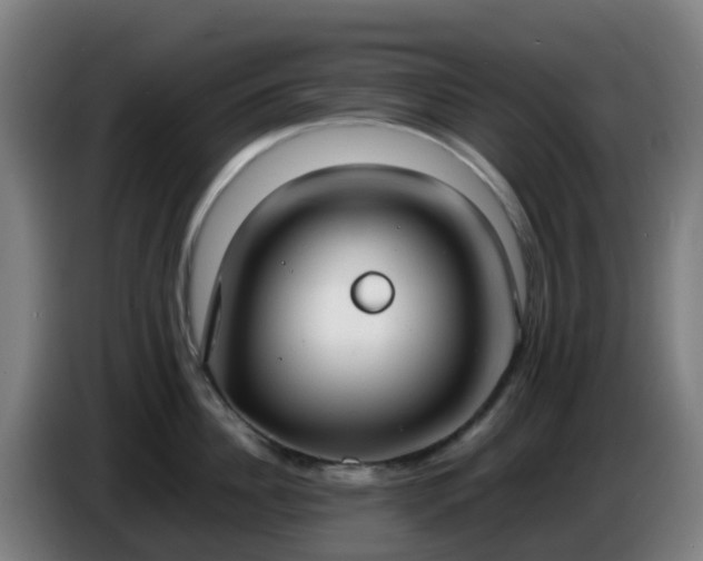 X0000086720956200704201624