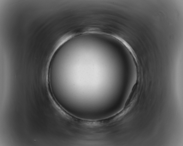 X0000086720957200704201624
