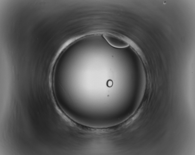 X0000086720958200704201624