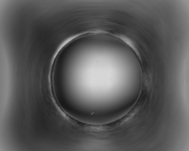 X0000086720959200704201624