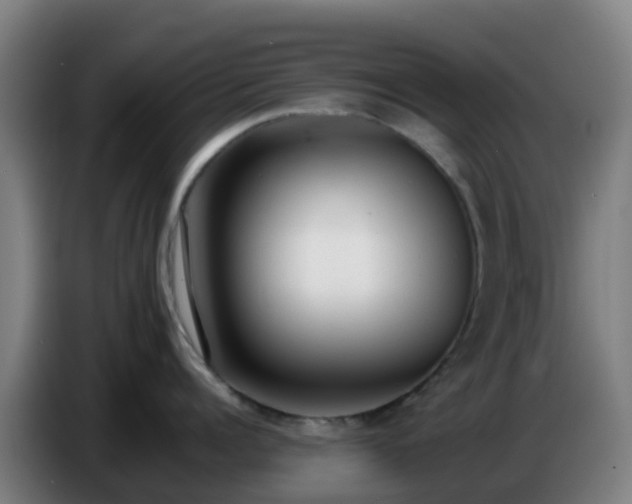 X0000086720960200704201624
