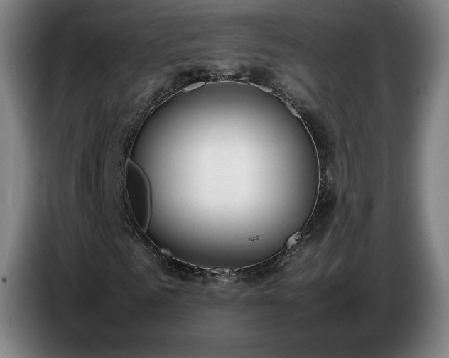 X0000086720961200704201623