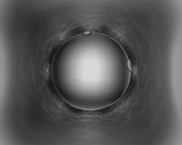 X0000086720963200704201623