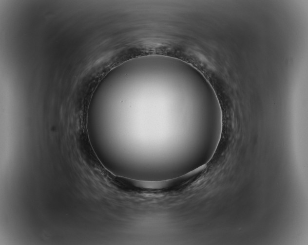 X0000086720965200704201623